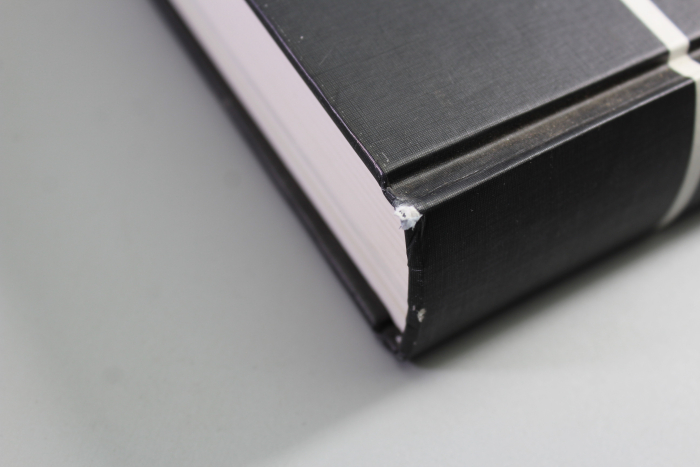 SS Service Daggers – Reference Book for Identification & Authentication