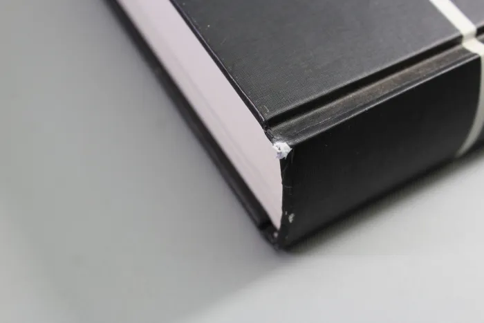 SS Service Daggers – Reference Book for Identification & Authentication