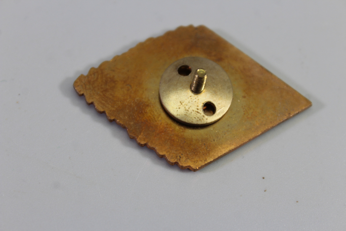 GDR University Graduate Badge, Karl Liebknecht University of the German People's Party (DVP)