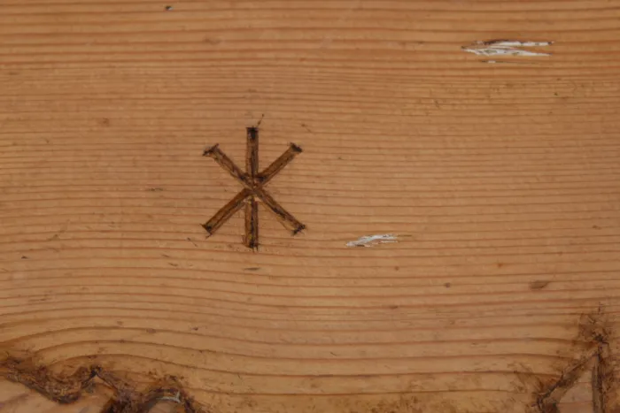 Sippentruhe mit Lebensbaum und Ruhnen in Kategorie Antiquitäten