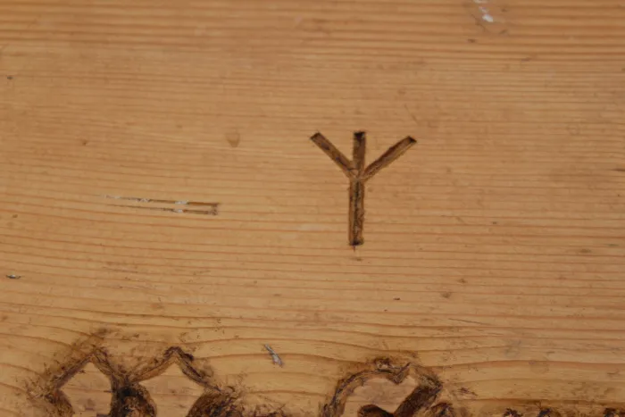 Sippentruhe mit Lebensbaum und Ruhnen in Kategorie Antiquitäten