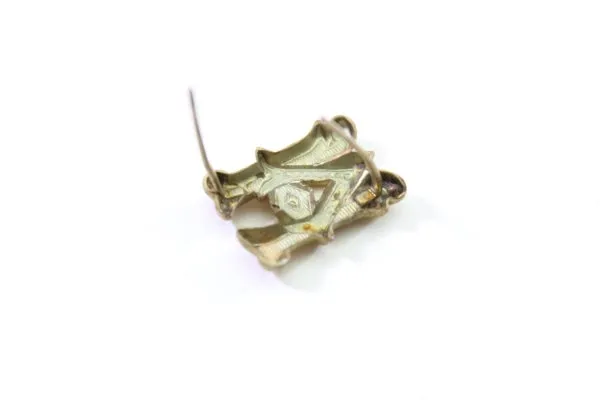 Gold-colored shoulder strap for the Army Administration