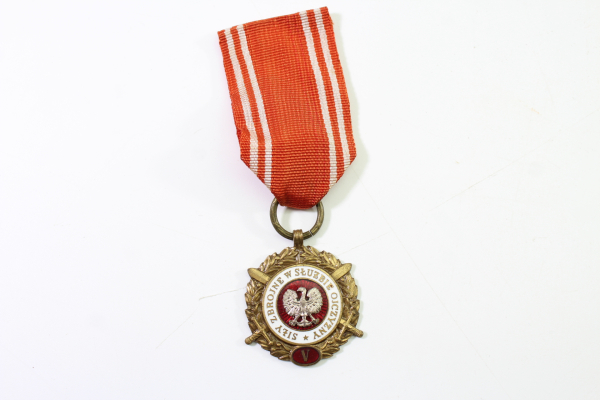 Order of Poland in Bronze, Armed Forces in the Service of the Fatherland, Medal of Merit