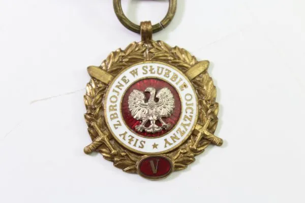 Orden Polen in Bronze, Streitkräfte im Dienst des Vaterlandes, Verdienstmedaille