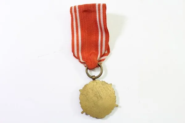 Orden Polen in Bronze, Streitkräfte im Dienst des Vaterlandes, Verdienstmedaille