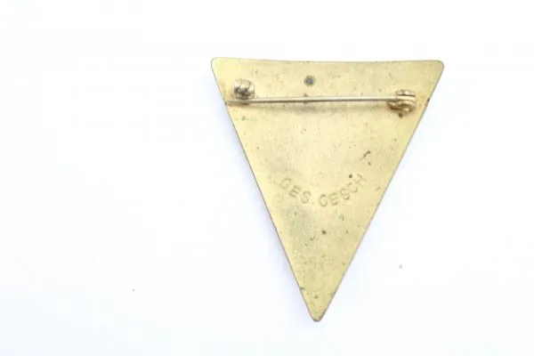 NS Frauenschaft Abzeichen NSF 44mm