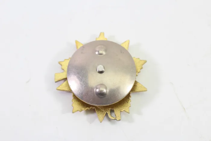 UdSSR Orden des Roten Stern sehr guter Zustand, original