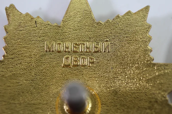 UdSSR Orden des Roten Stern sehr guter Zustand, original