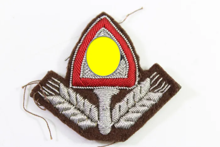 Reich Labor Service (RAD) Leader's Cap