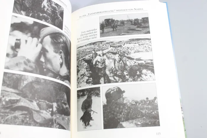 Henry Pedersen, Germanic Volunteers As a Danish Waffen-SS man on the Eastern Front