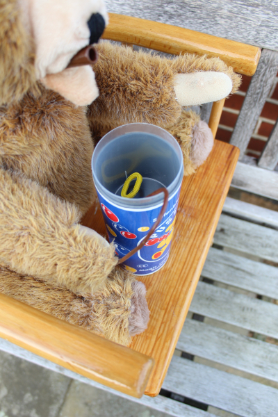 Pustefix Baer, Original Pustefix soap bubble bear in top condition