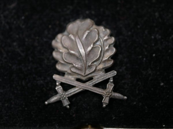 Oak leaves with swords to the Knight's Cross of the Iron Cross on a ribbon in an LDO case