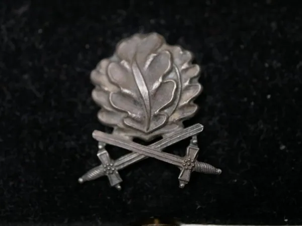 Oak leaves with swords to the Knight's Cross of the Iron Cross on a ribbon in an LDO case