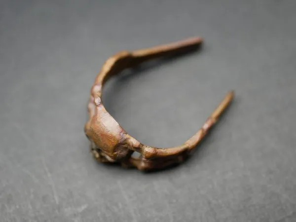 Original skull ring hussar ring in found condition / hoard find / blank