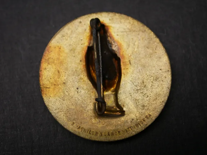 Badge - Oath of Allegiance Gau Mainfranken 1934
