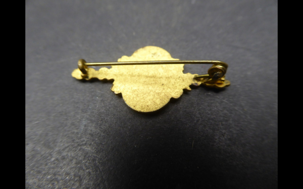 Badge - Golden pin of honor, shooting needle, air rifle