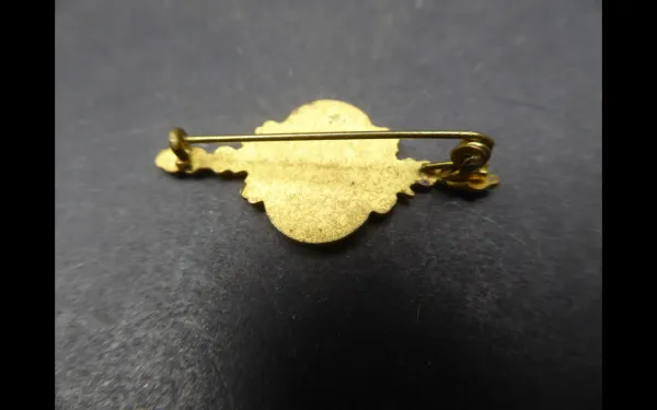 Badge - Golden pin of honor, shooting needle, air rifle