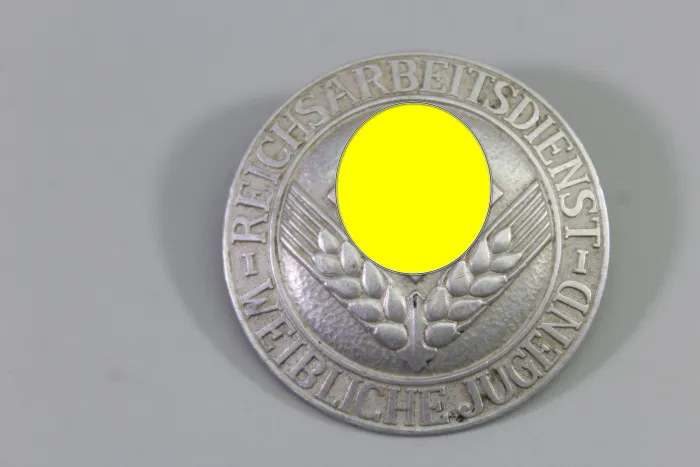 Reich Labor Service for Female Youth (RADwJ) Brooch