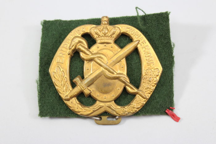 Beret badge of the Royal Netherlands Army's Medical Corps Regiment.