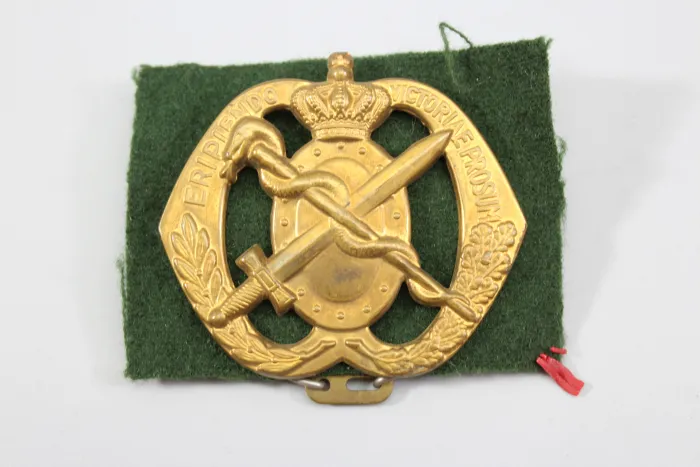 Barettabzeichen des Regiment Geneeskundige Troepen der niederländischen Armee.