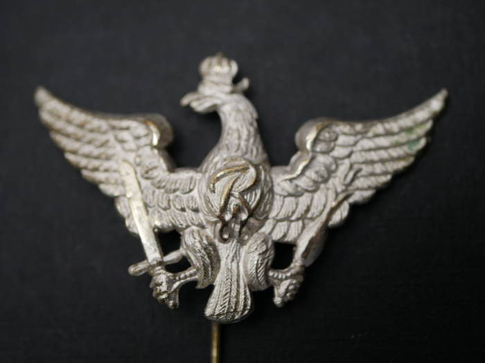 Adler Abzeichen - Ähnlich Schwedter Adler, 50 x 32 mm an Nadel
