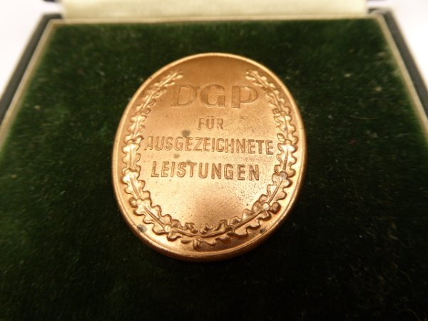 Badge of achievement of the German border police in a case