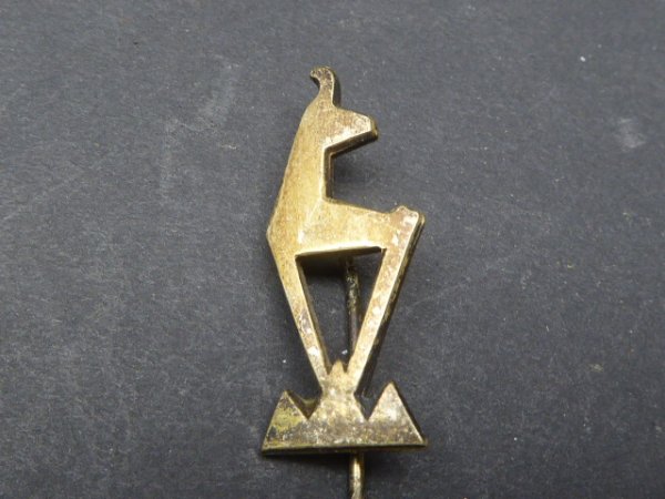 Gebirgsjäger Regiments Nadel